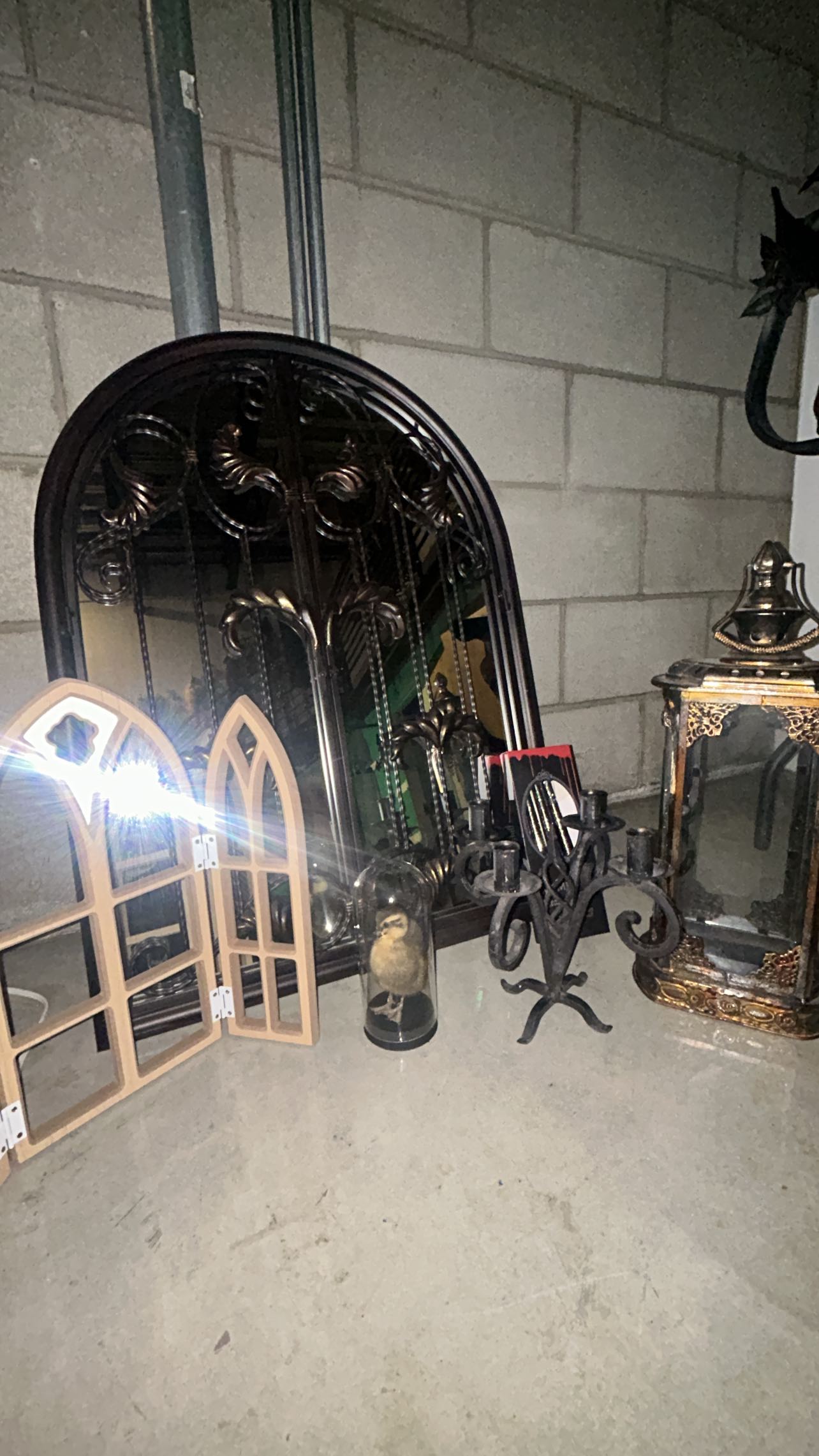 zommmbri instagram image archive image