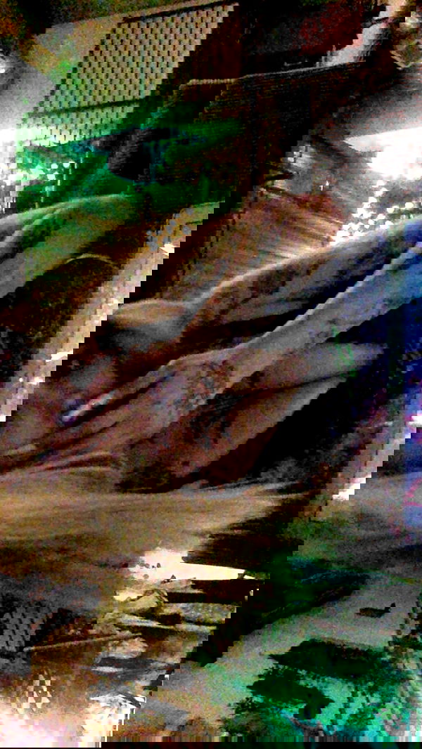 zommmbri image ~ Altpins