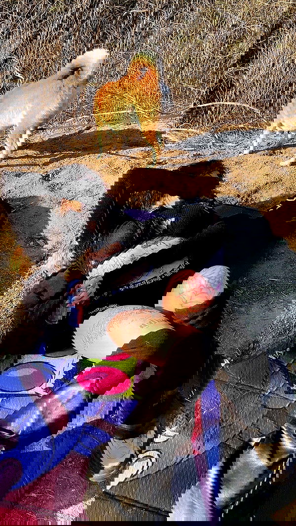 zommmbri image ~ Altpins