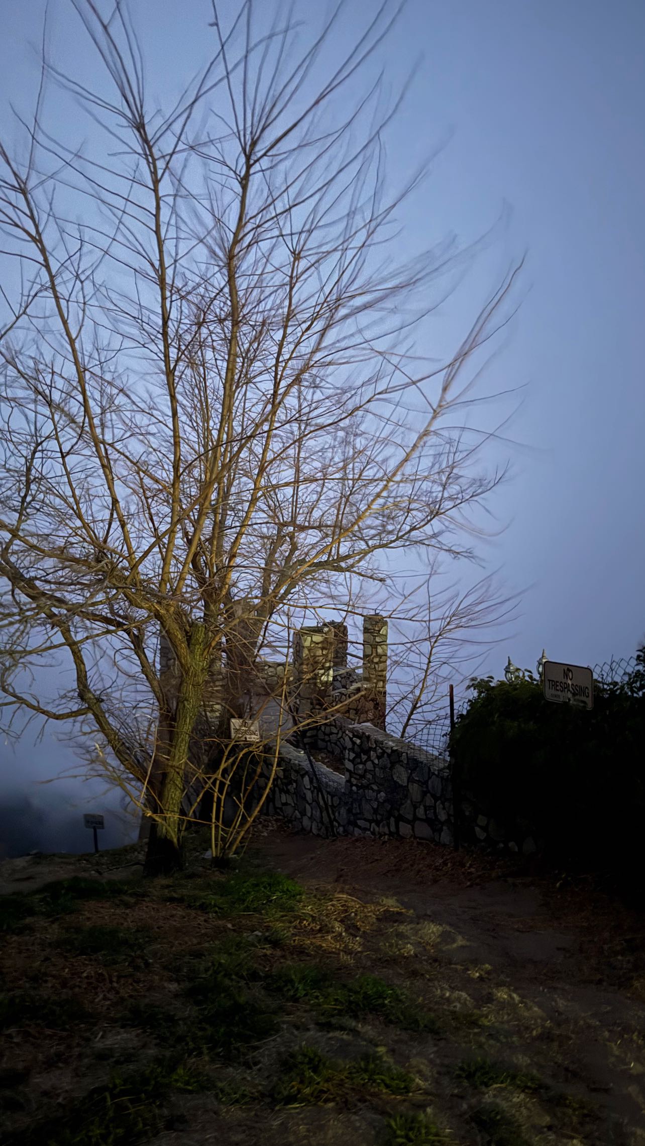 zommmbri instagram image archive image