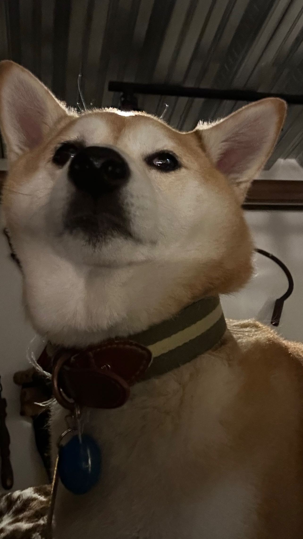 zommmbri instagram image archive image