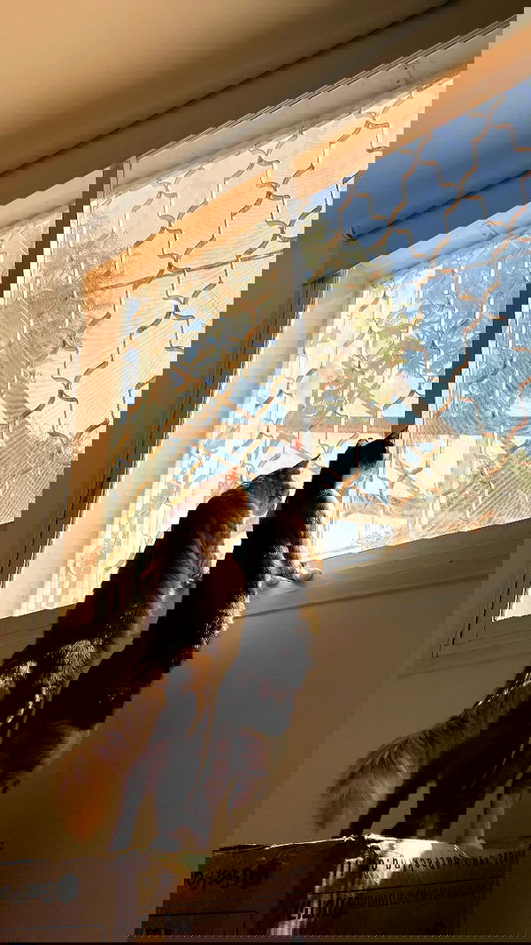 1.lostloli 1.lostloli archive image