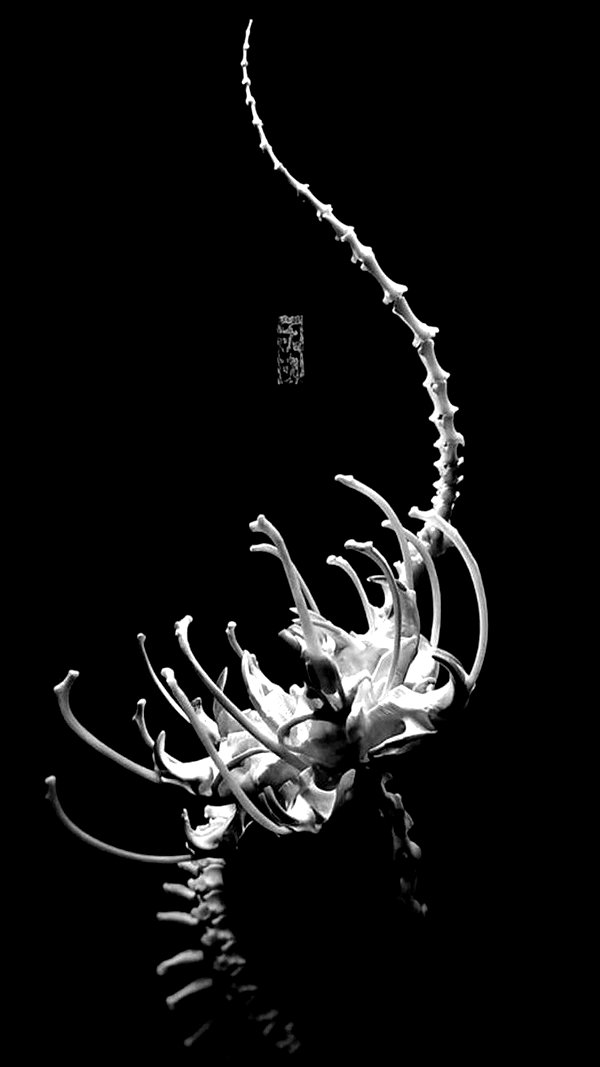 18nihil 18nihil archive image