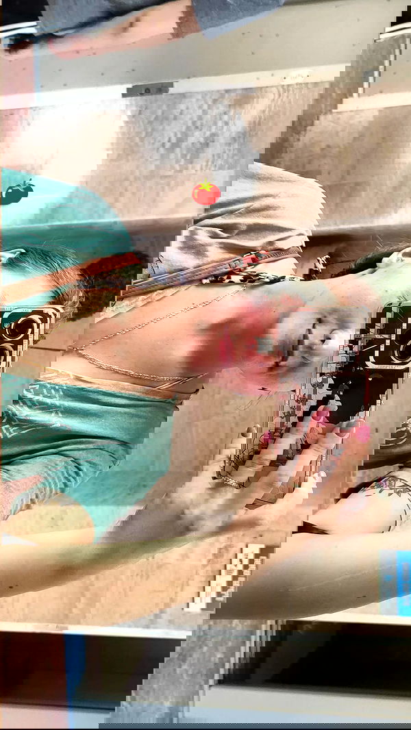 1justsabi 1justsabi archive image