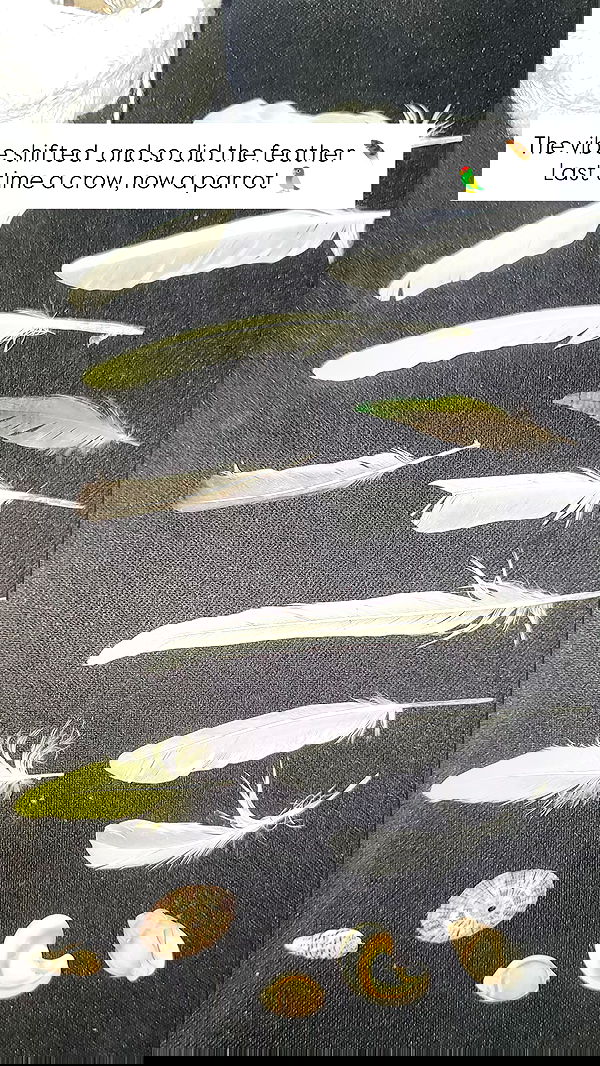 1justsabi 1justsabi archive image