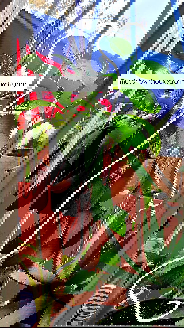 1justsabi 1justsabi archive image