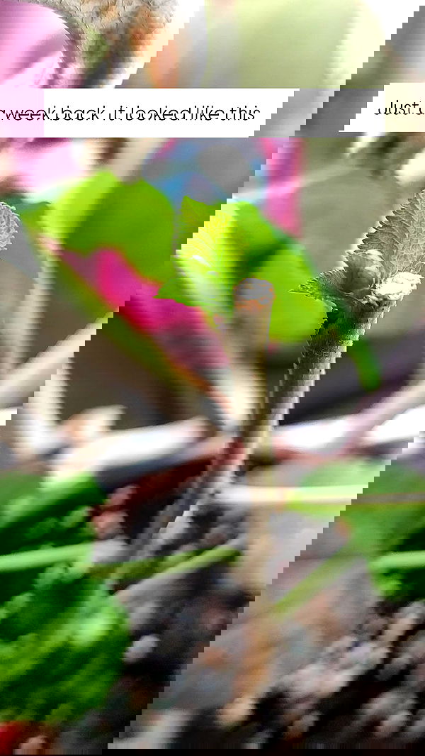 1justsabi 1justsabi archive image