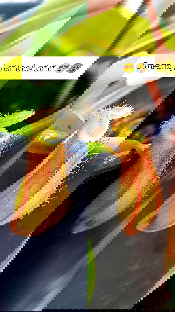 1justsabi 1justsabi archive image