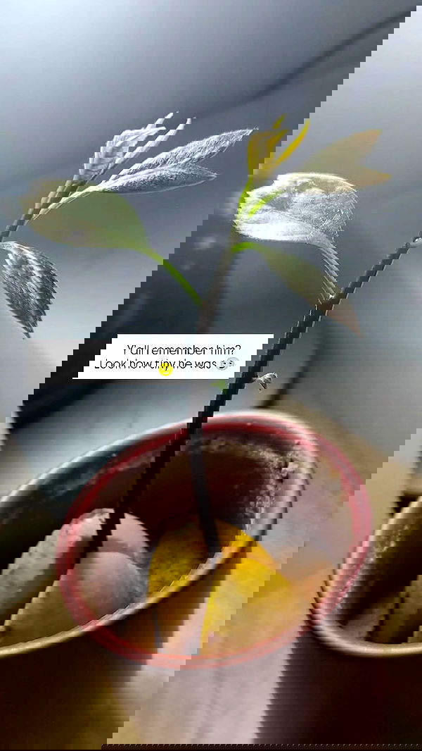 1justsabi 1justsabi archive image