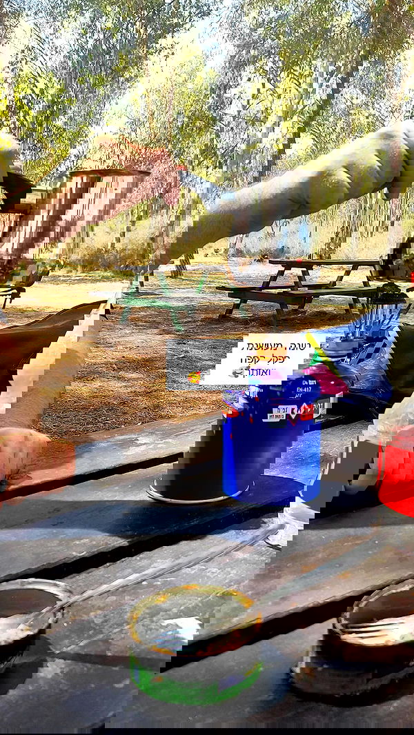 1justsabi 1justsabi archive image