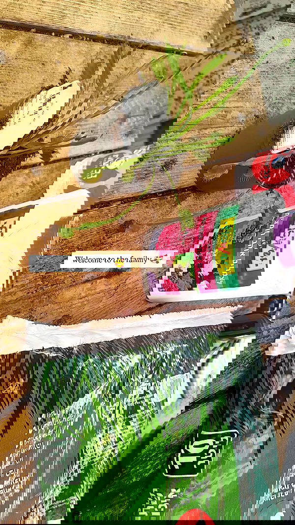 1justsabi 1justsabi archive image