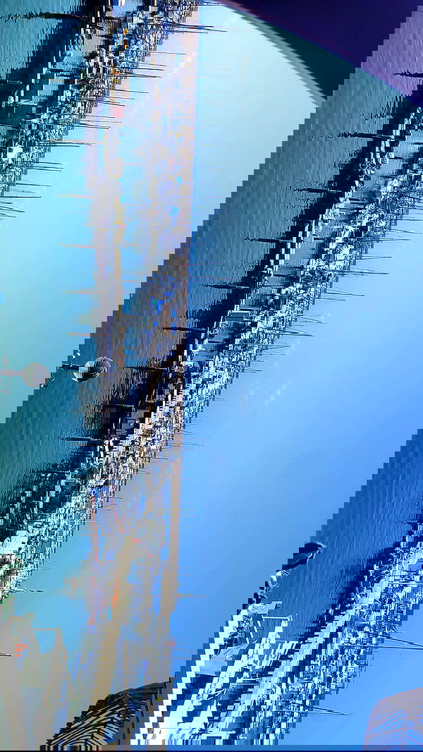 1justsabi 1justsabi archive image