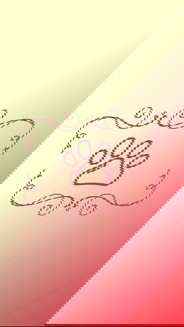 1justsabi 1justsabi archive image