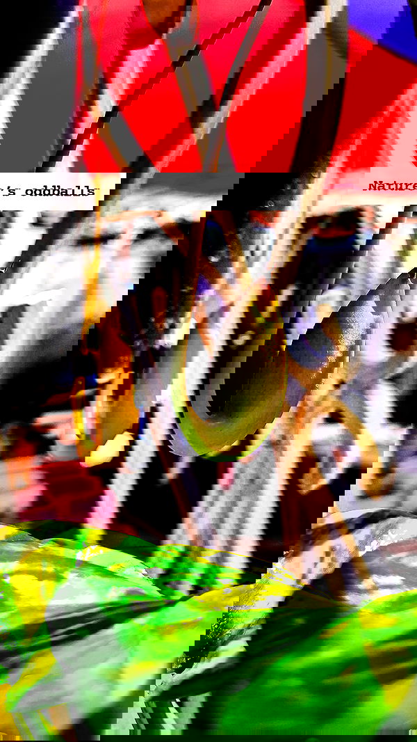 1justsabi 1justsabi archive image