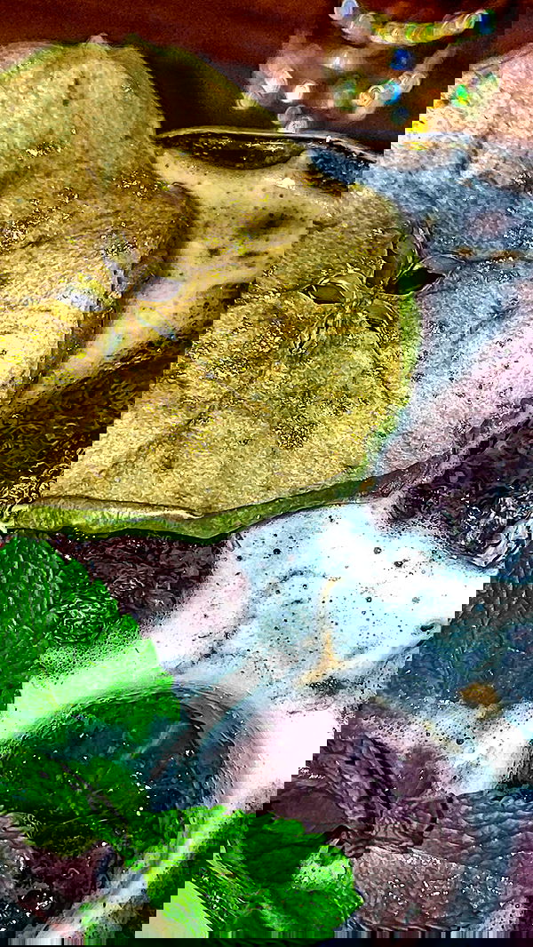 1justsabi 1justsabi archive image