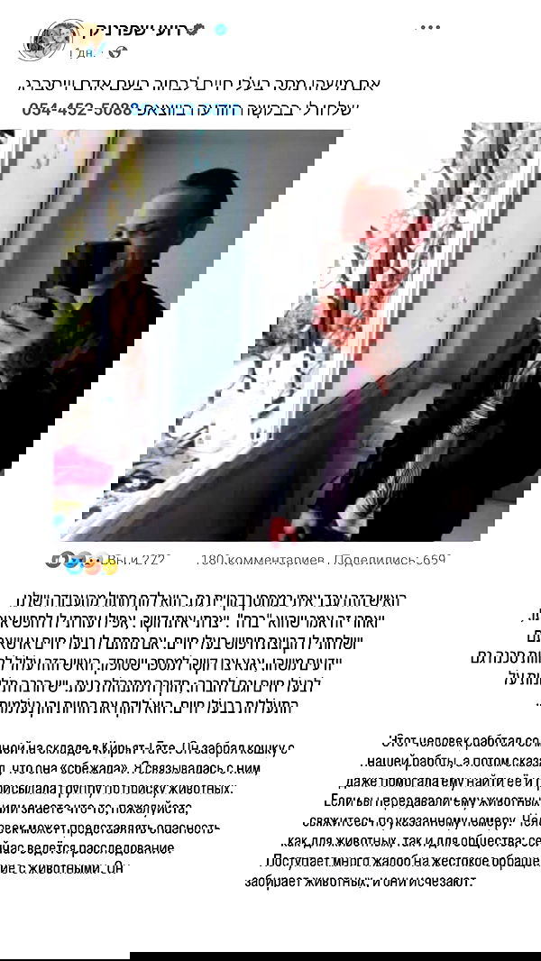 1justsabi 1justsabi archive image