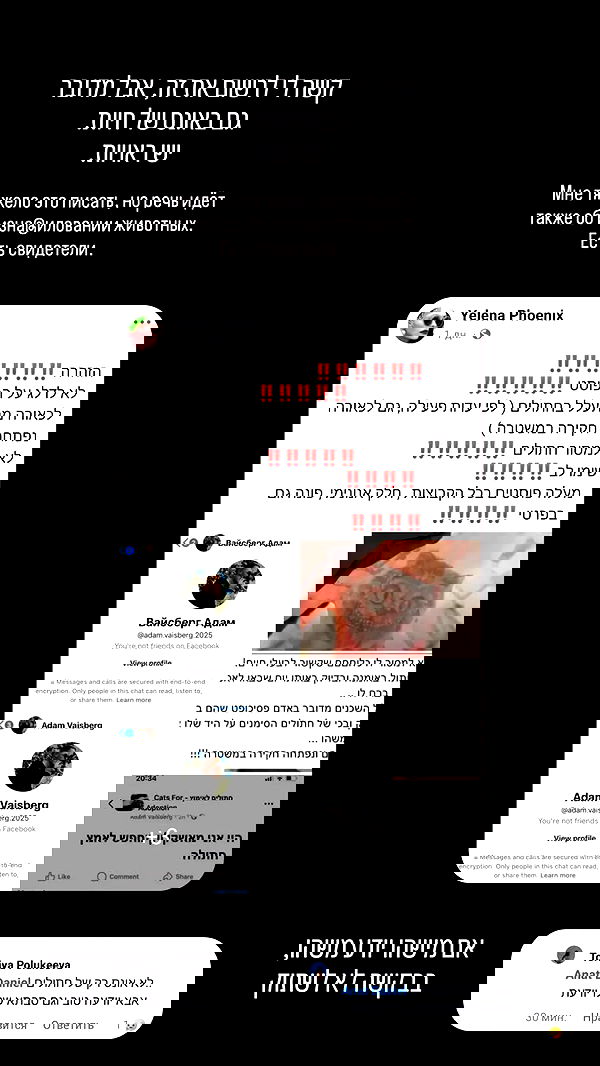 1justsabi 1justsabi archive image