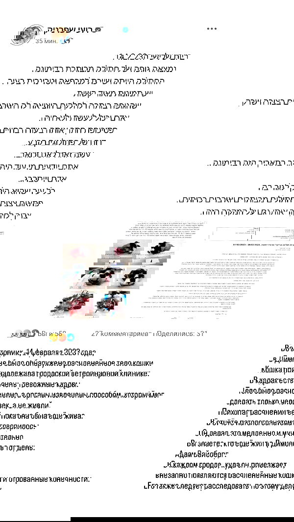 1justsabi 1justsabi archive image