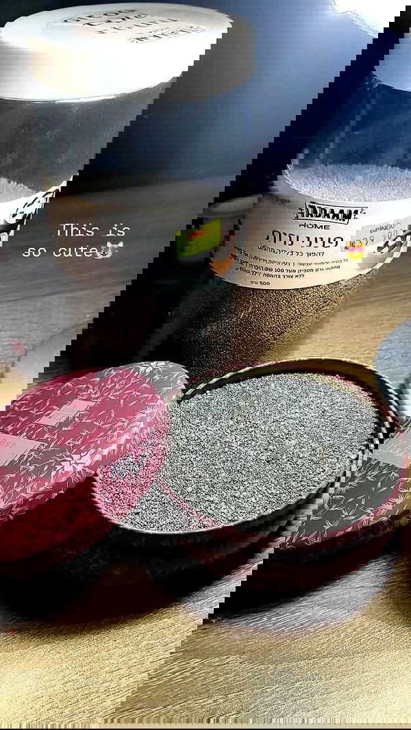 1justsabi 1justsabi archive image