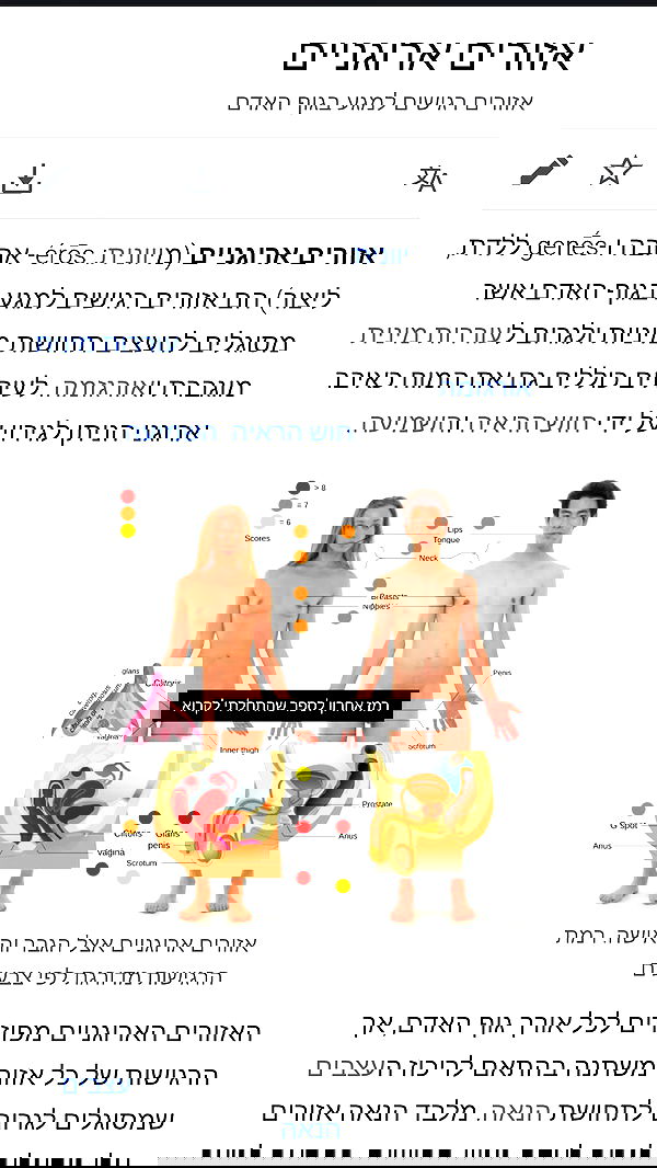 1justsabi 1justsabi archive image