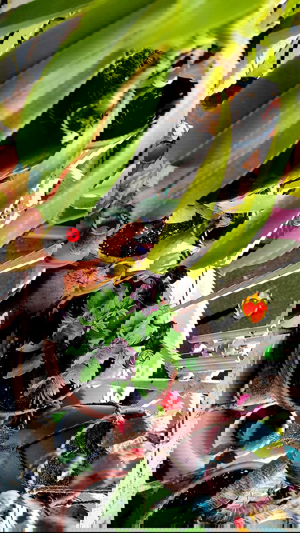 1justsabi 1justsabi archive image