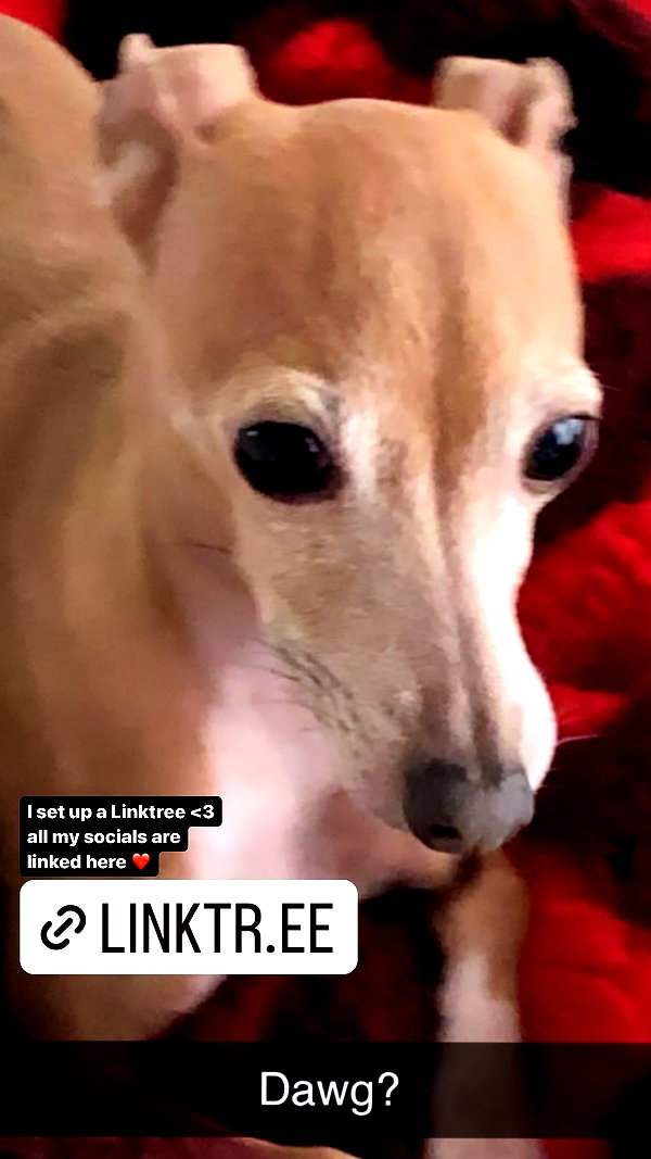 1kyle8_ instagram image archive image