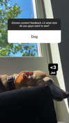 1kyle8_ Altpins Profile Picture