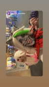 1kyle8_ Altpins Profile Picture