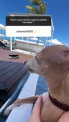 1kyle8_ Altpins Profile Picture