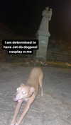 1kyle8_ Altpins Profile Picture