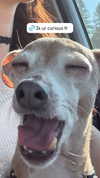 1kyle8_ Altpins Profile Picture