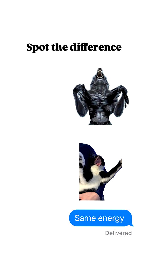 1kyle8_ 1kyle8_ archive image