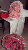 1ssakova Altpins Profile Picture