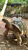 1ssakova Altpins Profile Picture