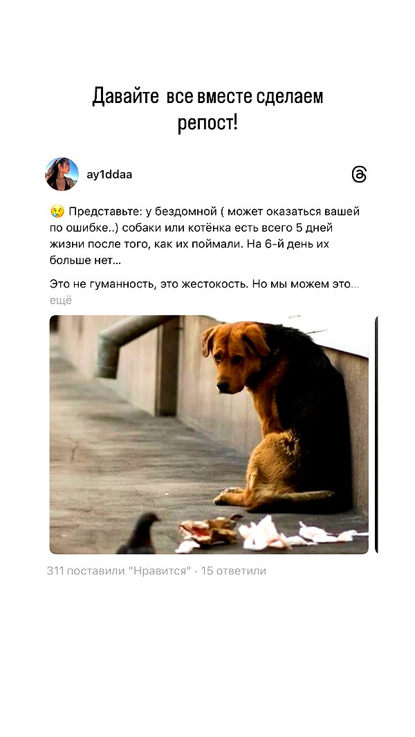 1ssakova 1ssakova archive image