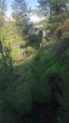 6a1it Altpins Profile Picture