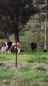 6a1it Altpins Profile Picture