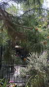 6a1it Altpins Profile Picture