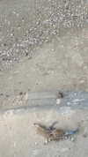 6a1it Altpins Profile Picture