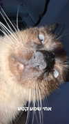 6a1it Altpins Profile Picture