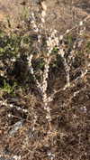 6a1it Altpins Profile Picture