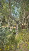 6a1it Altpins Profile Picture