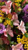 6a1it Altpins Profile Picture