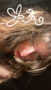 6a1it Altpins Profile Picture