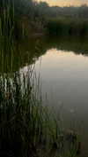 6a1it Altpins Profile Picture