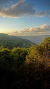 6a1it Altpins Profile Picture