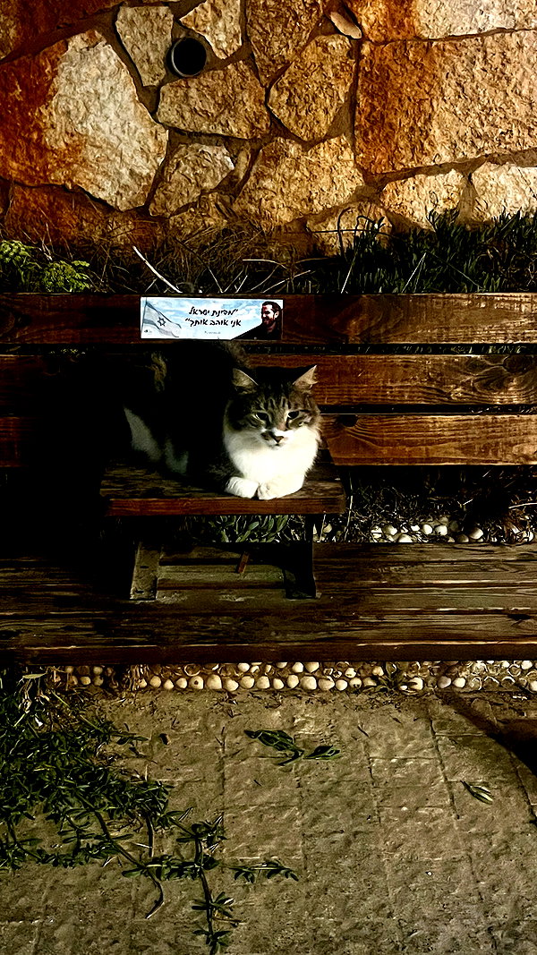 6a1it 6a1it archive image