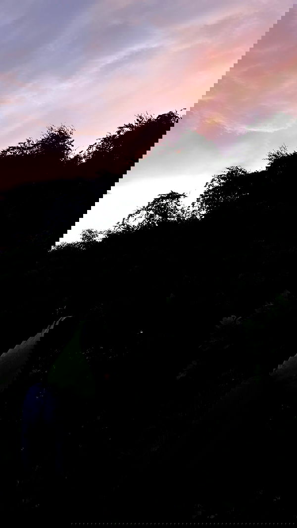 6nattynat9 6nattynat9 archive image