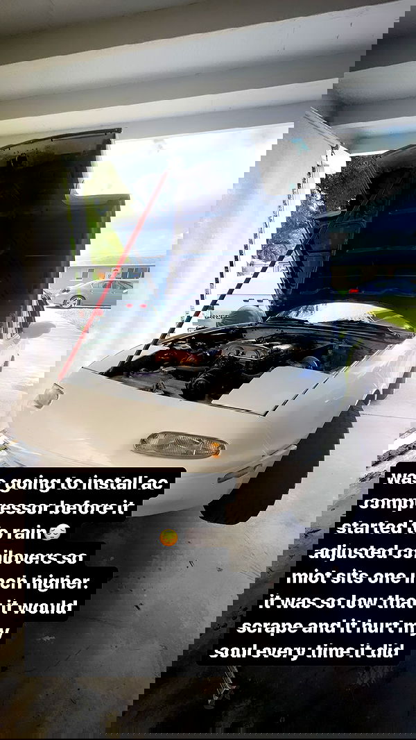 6nattynat9 6nattynat9 archive image