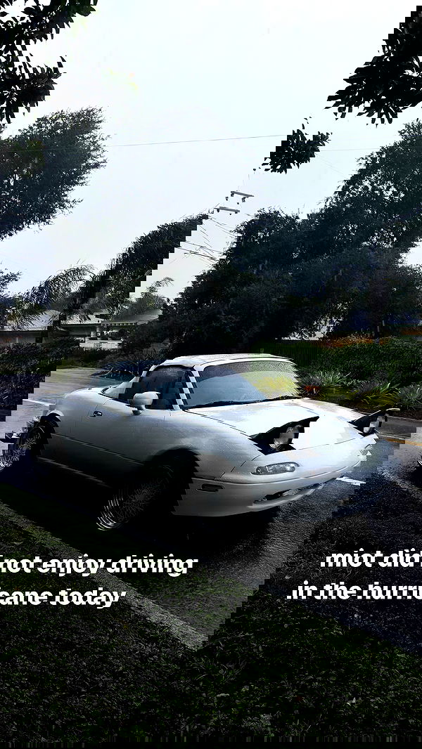 6nattynat9 6nattynat9 archive image